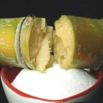 Cane Sugar